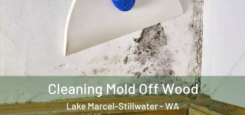  Cleaning Mold Off Wood Lake Marcel-Stillwater - WA