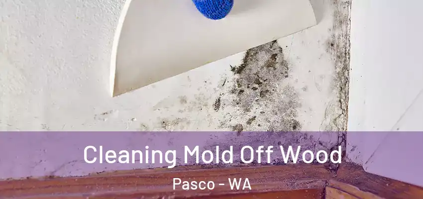  Cleaning Mold Off Wood Pasco - WA