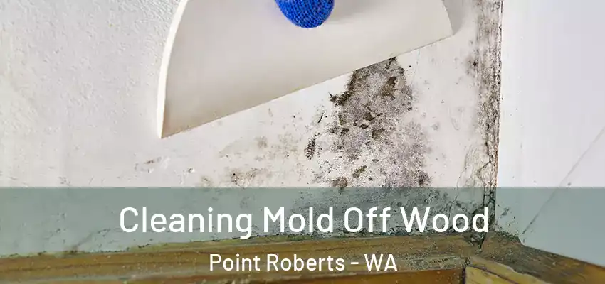  Cleaning Mold Off Wood Point Roberts - WA