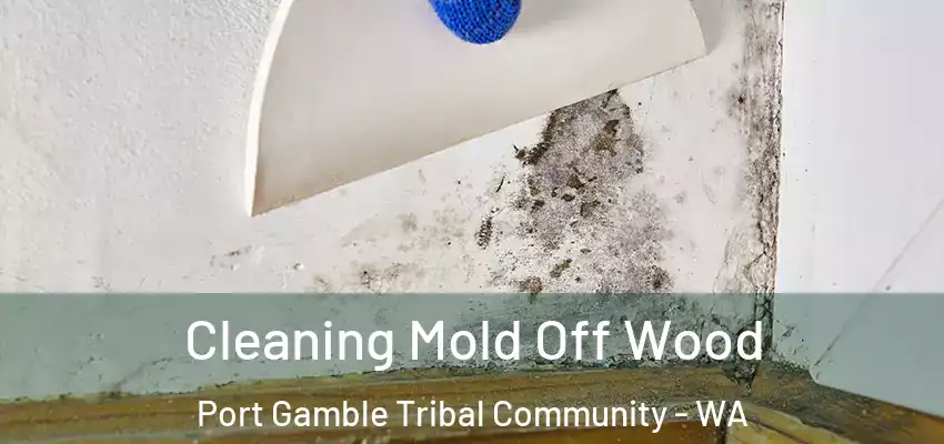  Cleaning Mold Off Wood Port Gamble Tribal Community - WA