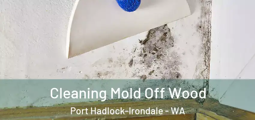  Cleaning Mold Off Wood Port Hadlock-Irondale - WA