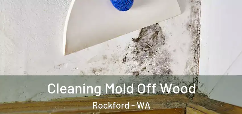 Cleaning Mold Off Wood Rockford - WA