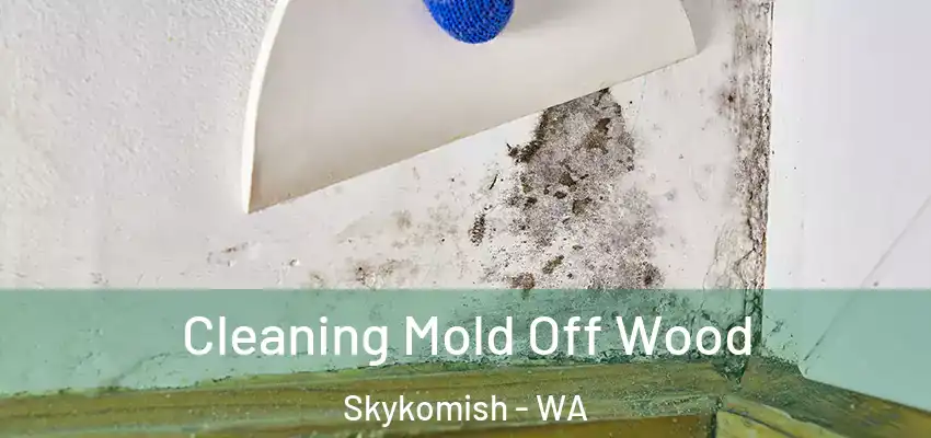 Cleaning Mold Off Wood Skykomish - WA