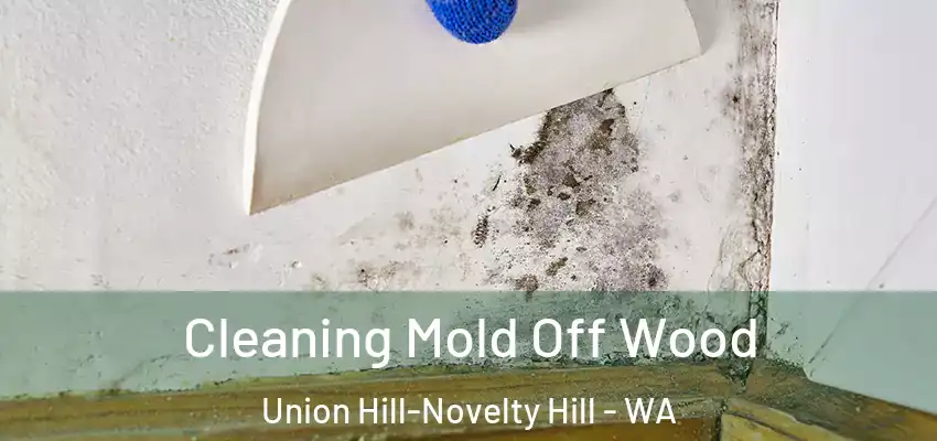 Cleaning Mold Off Wood Union Hill-Novelty Hill - WA