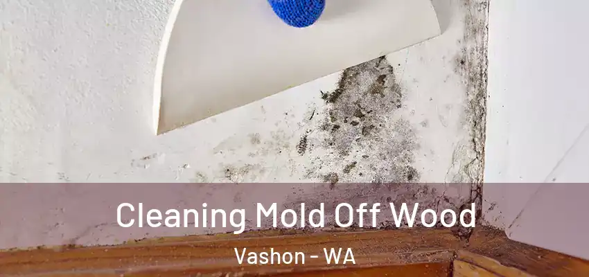  Cleaning Mold Off Wood Vashon - WA
