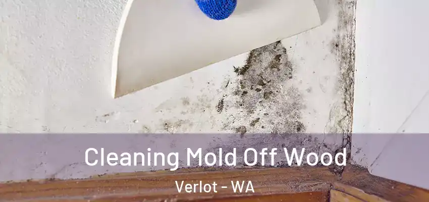  Cleaning Mold Off Wood Verlot - WA