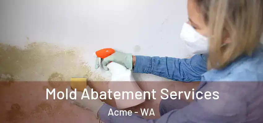 Mold Abatement Services Acme - WA