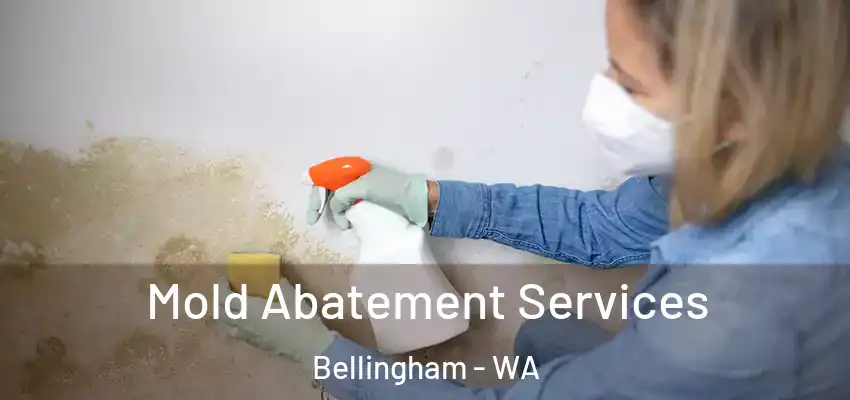  Mold Abatement Services Bellingham - WA
