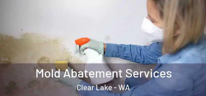  Mold Abatement Services Clear Lake - WA