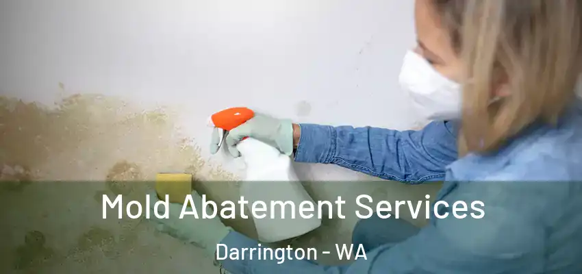  Mold Abatement Services Darrington - WA