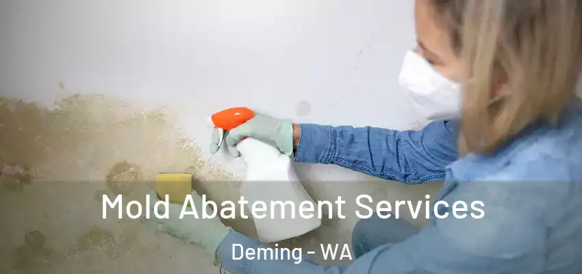 Mold Abatement Services Deming - WA