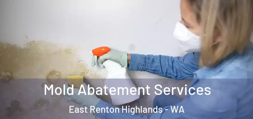  Mold Abatement Services East Renton Highlands - WA