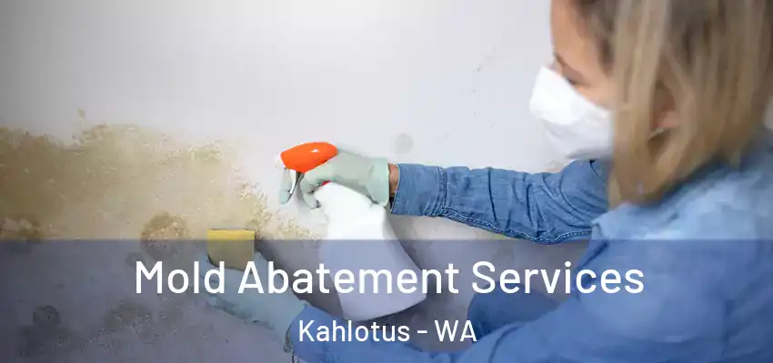  Mold Abatement Services Kahlotus - WA