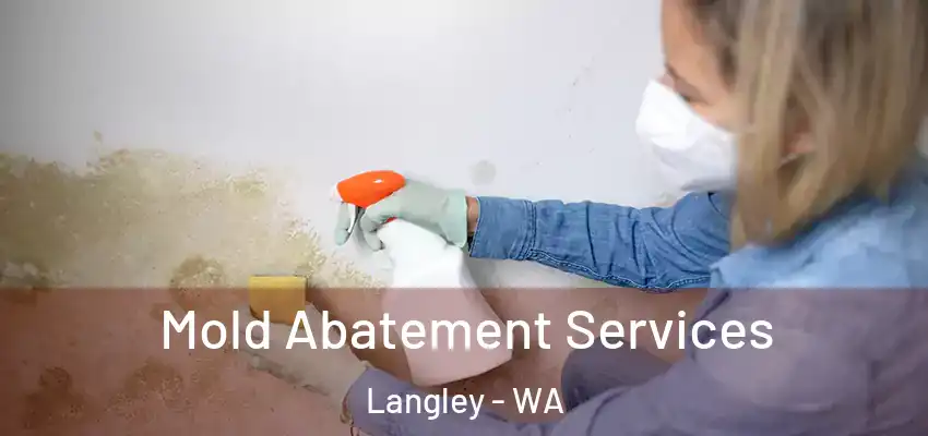  Mold Abatement Services Langley - WA