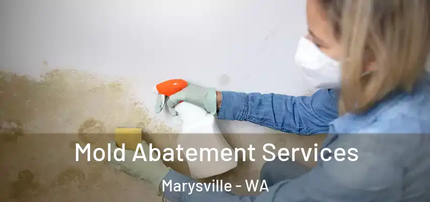  Mold Abatement Services Marysville - WA