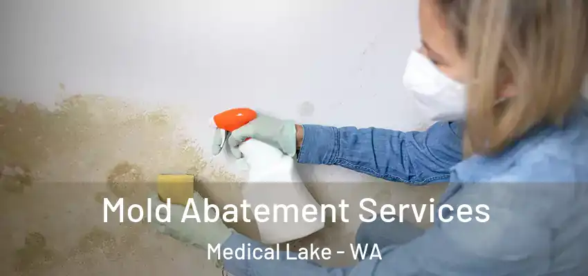 Mold Abatement Services Medical Lake - WA