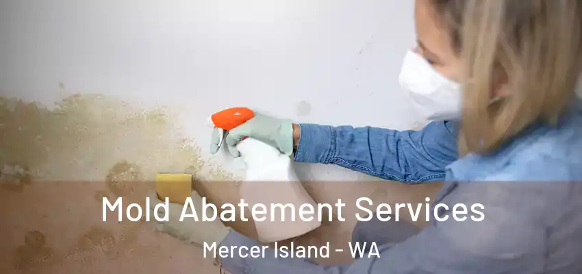 Mold Abatement Services Mercer Island - WA