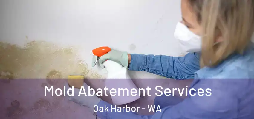  Mold Abatement Services Oak Harbor - WA