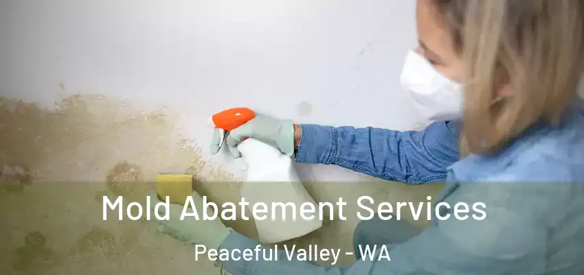 Mold Abatement Services Peaceful Valley - WA