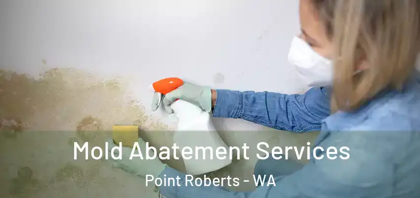 Mold Abatement Services Point Roberts - WA