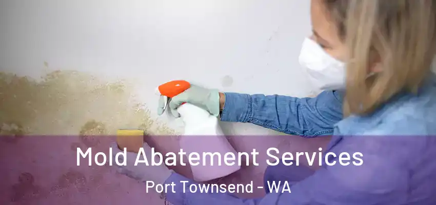 Mold Abatement Services Port Townsend - WA