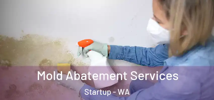 Mold Abatement Services Startup - WA