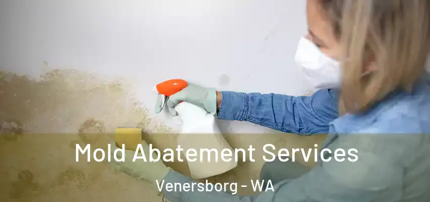 Mold Abatement Services Venersborg - WA