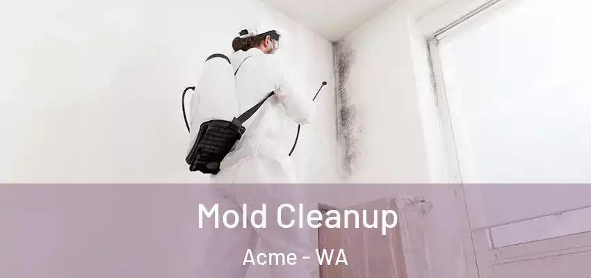  Mold Cleanup Acme - WA