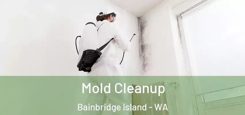  Mold Cleanup Bainbridge Island - WA