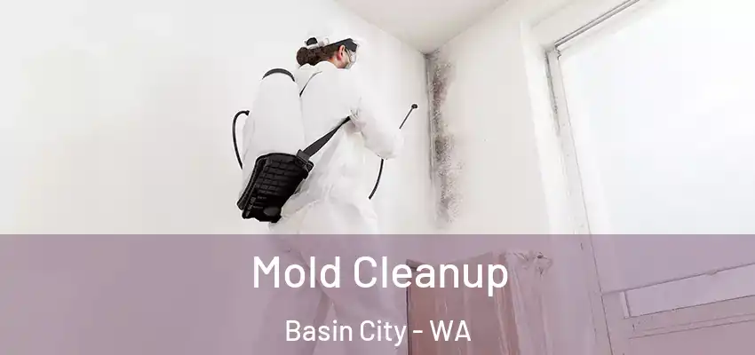 Mold Cleanup Basin City - WA