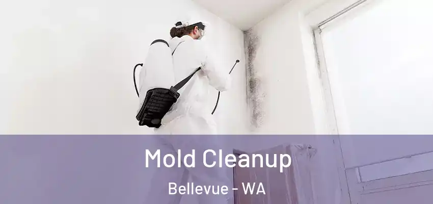  Mold Cleanup Bellevue - WA