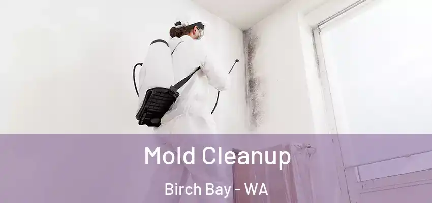  Mold Cleanup Birch Bay - WA