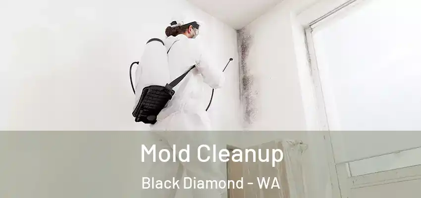  Mold Cleanup Black Diamond - WA