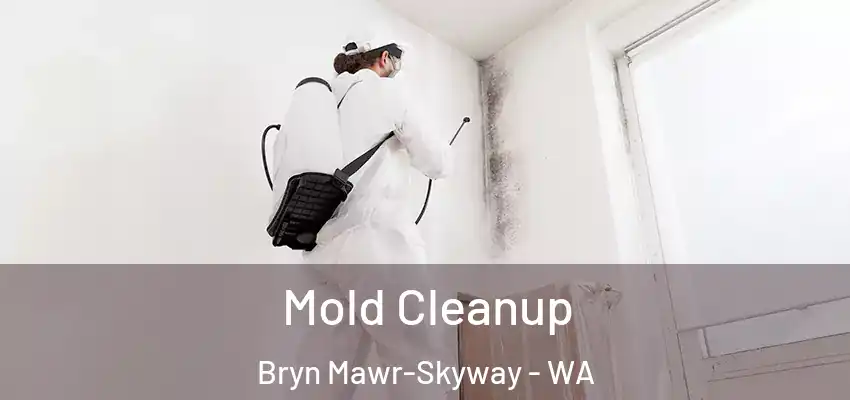  Mold Cleanup Bryn Mawr-Skyway - WA