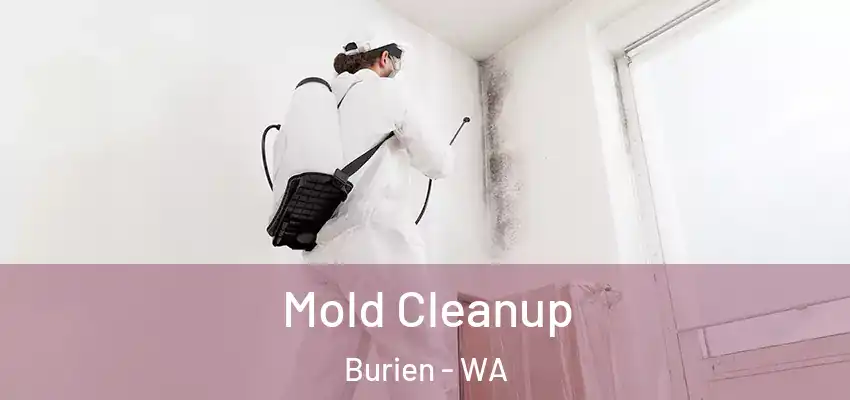  Mold Cleanup Burien - WA