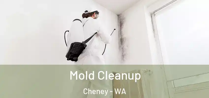  Mold Cleanup Cheney - WA