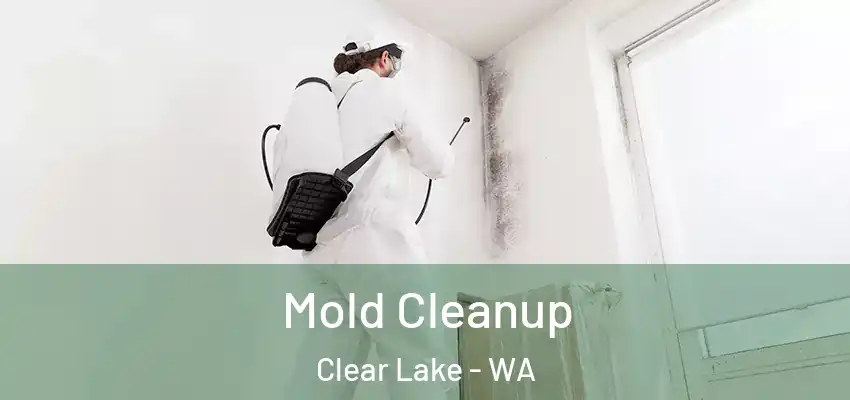 Mold Cleanup Clear Lake - WA