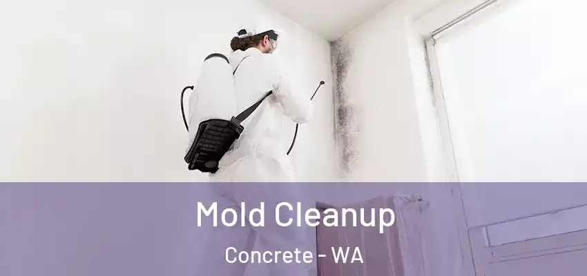  Mold Cleanup Concrete - WA