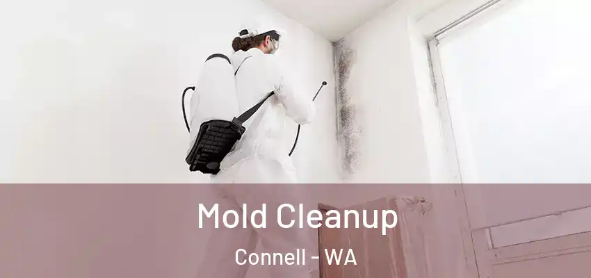 Mold Cleanup Connell - WA