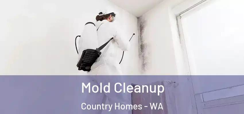  Mold Cleanup Country Homes - WA