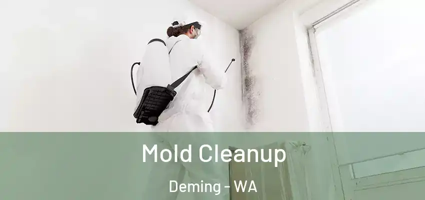  Mold Cleanup Deming - WA