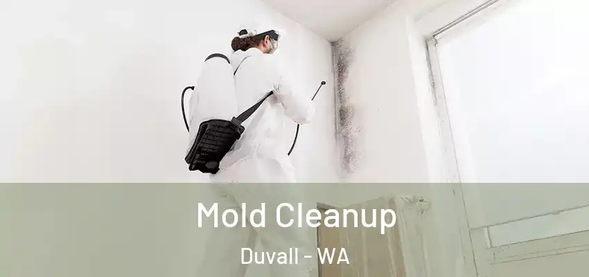  Mold Cleanup Duvall - WA