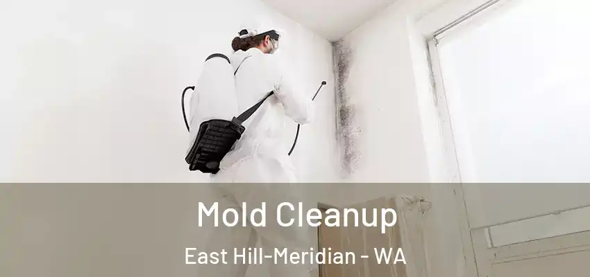 Mold Cleanup East Hill-Meridian - WA