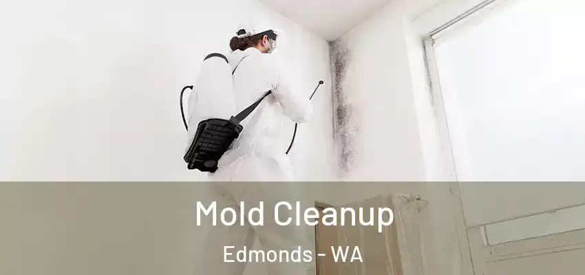  Mold Cleanup Edmonds - WA