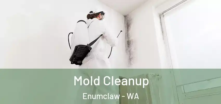  Mold Cleanup Enumclaw - WA