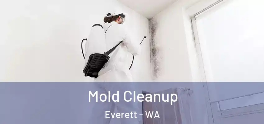  Mold Cleanup Everett - WA