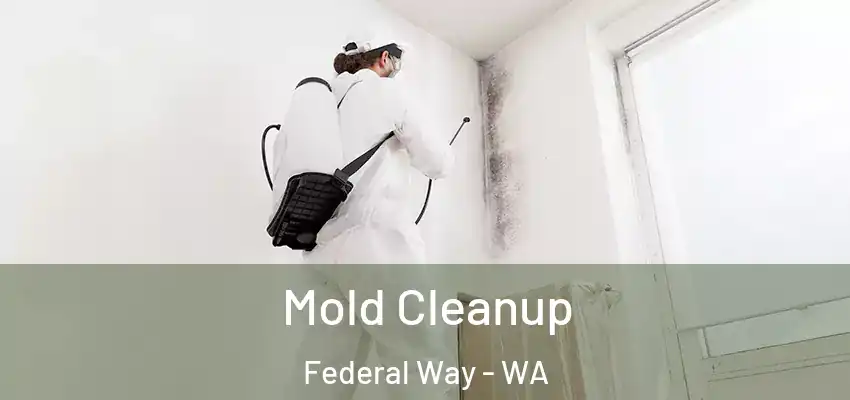 Mold Cleanup Federal Way - WA