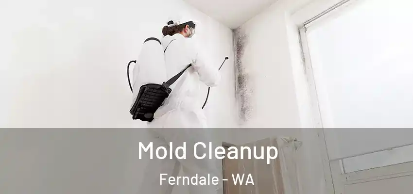  Mold Cleanup Ferndale - WA