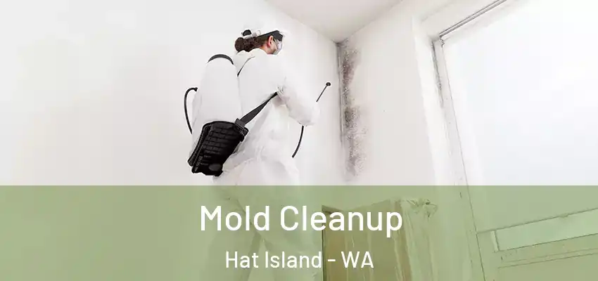  Mold Cleanup Hat Island - WA