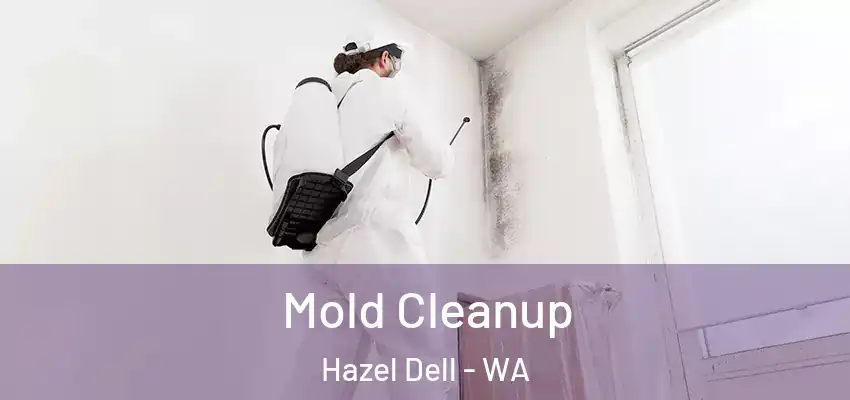  Mold Cleanup Hazel Dell - WA